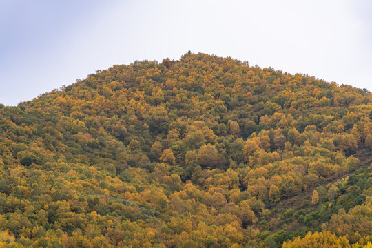 张北草原桦皮岭的秋季美景