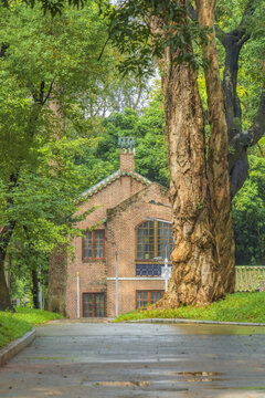 中山大学南校区