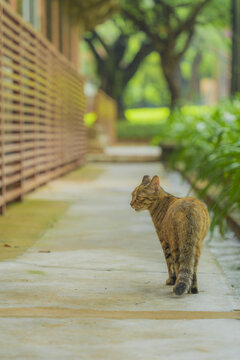 中山大学南校区