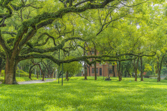 中山大学南校区