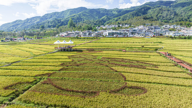 乡村振兴