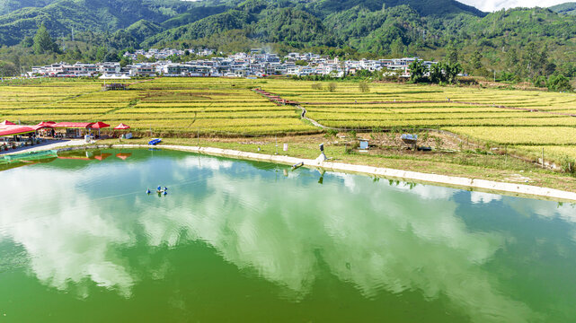 碧水蓝天