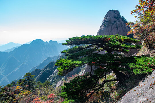 安徽黄山风景区