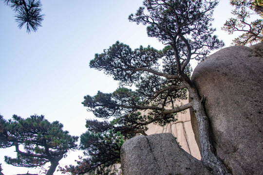 安徽黄山风景区