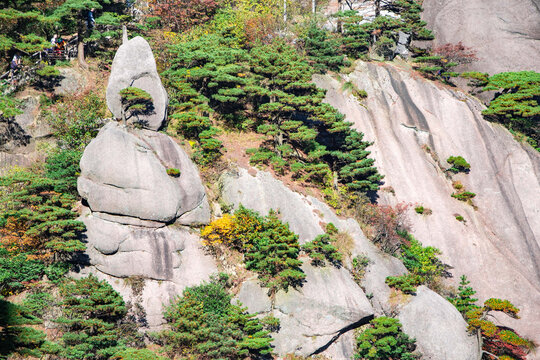 安徽黄山风景区