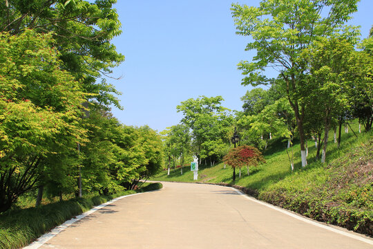 公园绿路