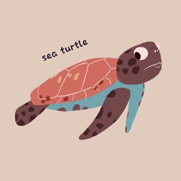 趣味动物海龟海洋生物图案