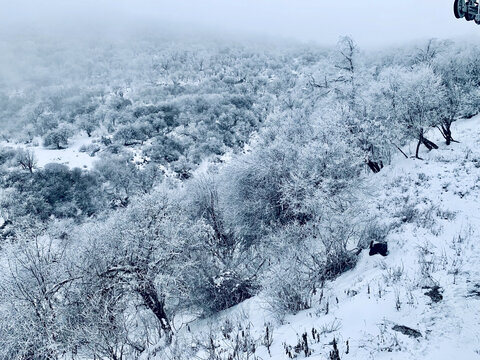 太子岭滑雪