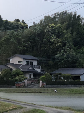 日本一户建