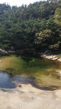 溪流河流