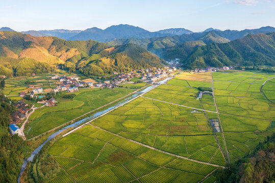 航拍农村稻田美丽景象