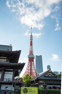 东京塔与增上寺