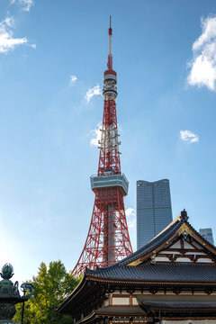 东京塔与增上寺