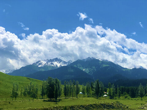 伊犁自然风景