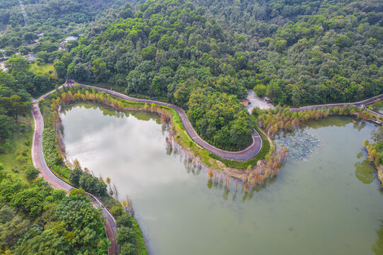 深圳红花岭低碳生态公园