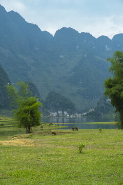 山景山村田园风光