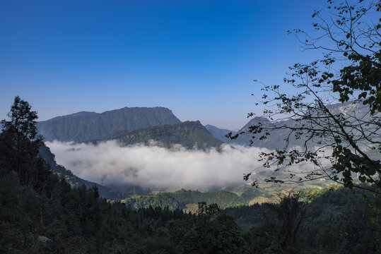 云雾山林山景