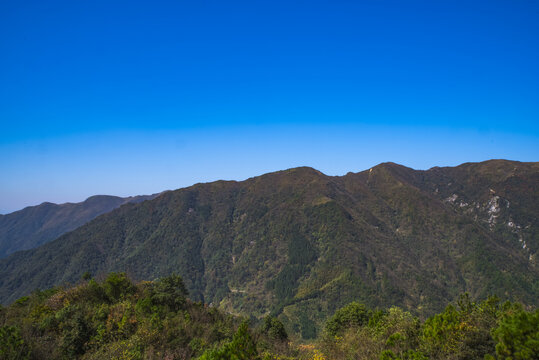 高山大山植被山景