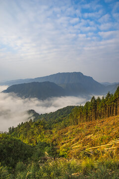 云雾白云山林山景