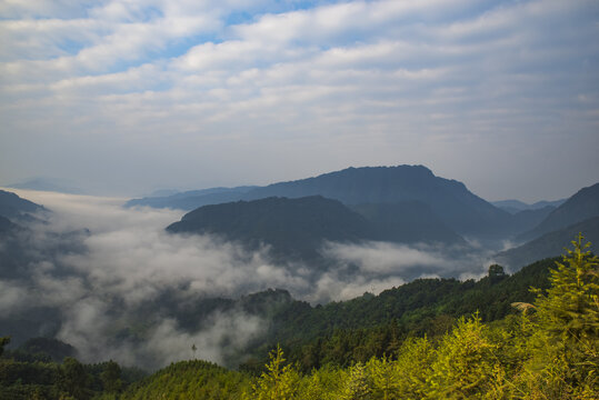 云雾山林山景风景