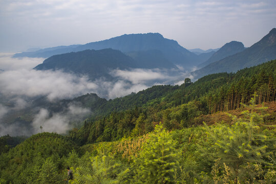 云雾山林山景