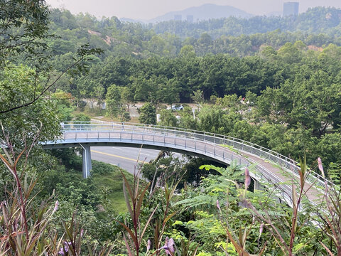 珠海景山栈道