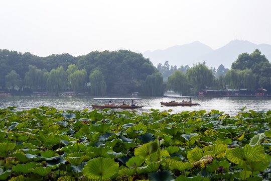 西湖风光