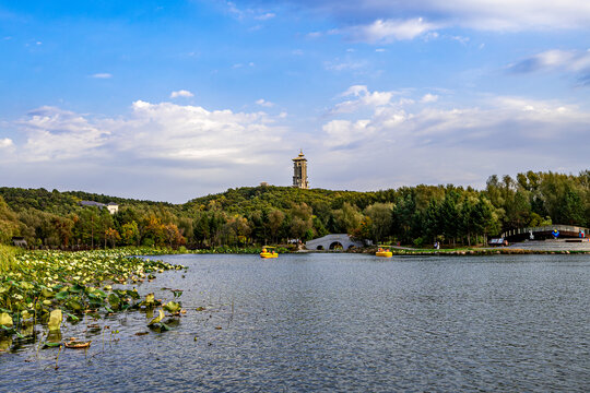 初秋的长春净月潭公园风景