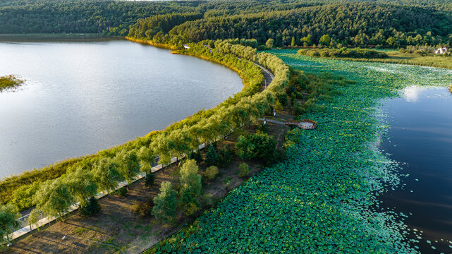 夏季的长春净月潭湿地公园景