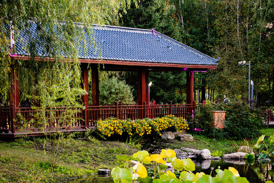 中国长春百花园风景