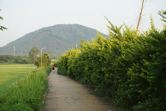 绿道跑步