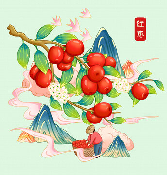 红枣插画手绘