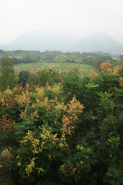 秋日山景