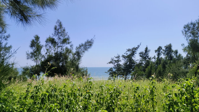 广东茂名晏镜岭景色