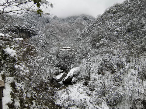 雪景