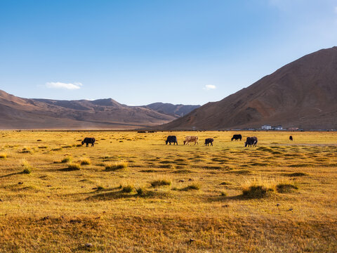 新疆帕米尔高原慕士塔格峰冰川