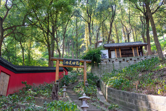 四川泸州金龙寺