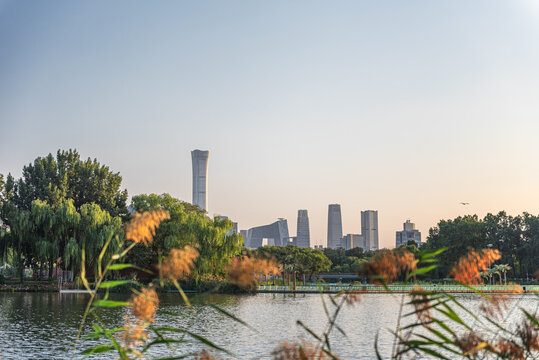 北京朝阳公园CBD城市风光