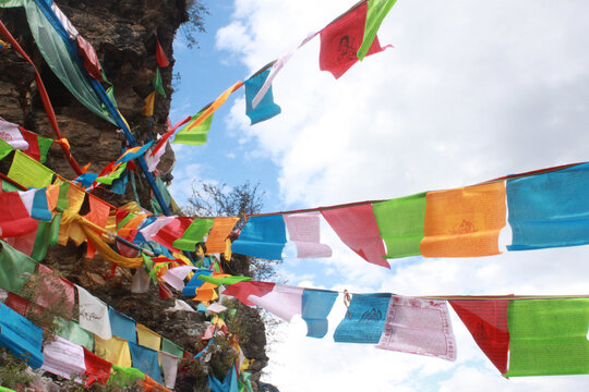 西藏旗子