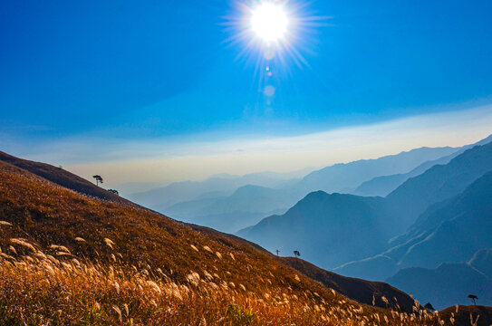 高山云海秋景草甸