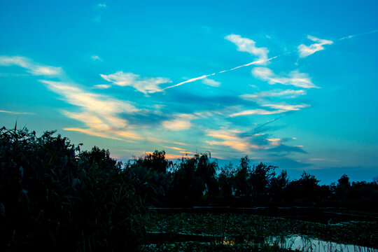 滇池湿地黄昏