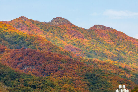 吉林市朱雀山枫叶景观