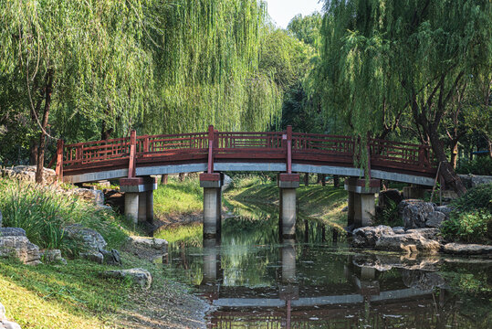 公园拱桥垂柳自然风光