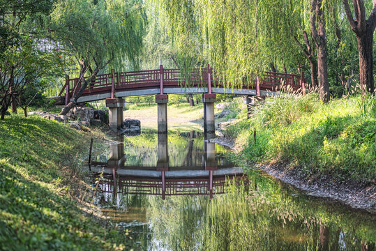 公园拱桥垂柳自然风光