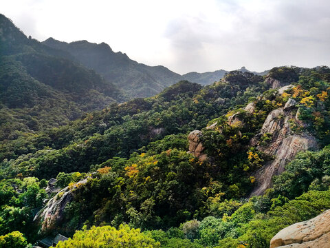 山景秋色