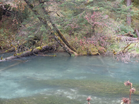 九寨沟风景