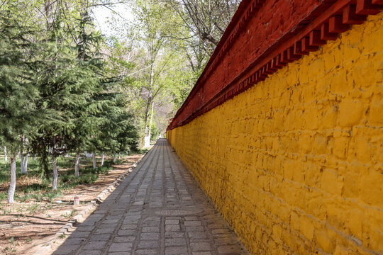 西藏黄墙