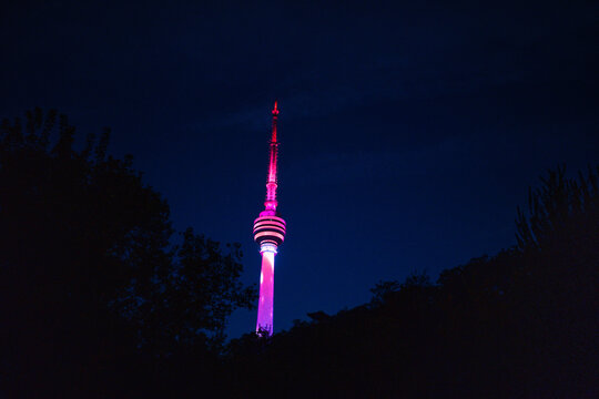 龟山电视塔夜景