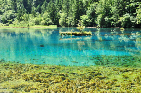 青山绿水九寨沟