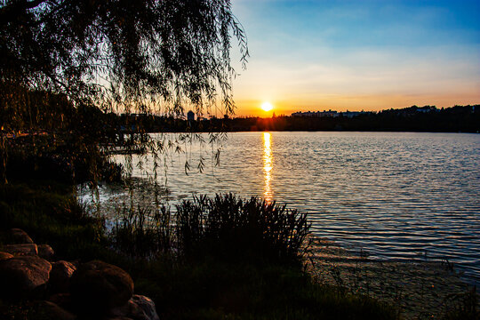 湿地公园日落